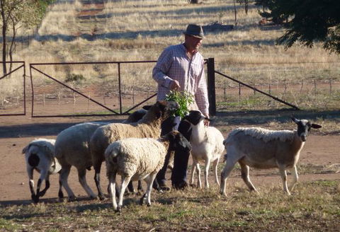 Selby Organic Farm Stay - VIC Tourism 4