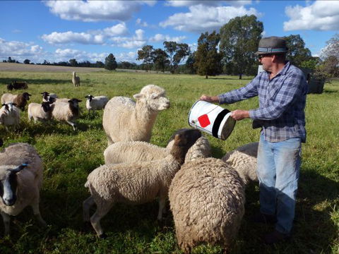 Selby Organic Farm Stay - VIC Tourism 6