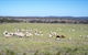 Selby Organic Farm Stay - thumb 7