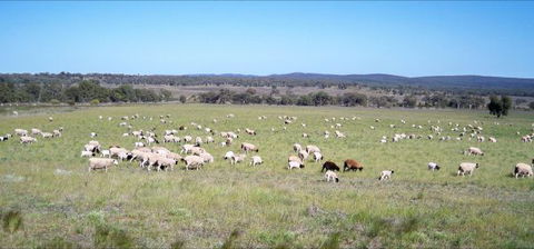 Selby Organic Farm Stay - VIC Tourism 7