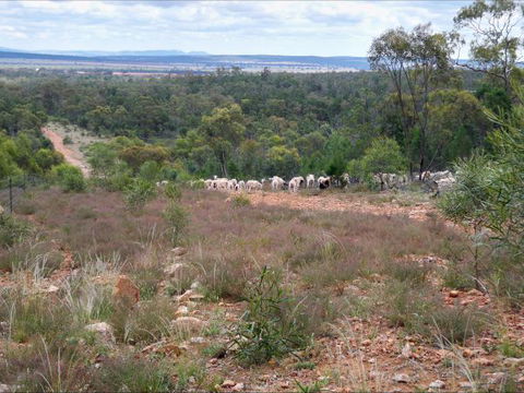 Selby Organic Farm Stay - VIC Tourism 8