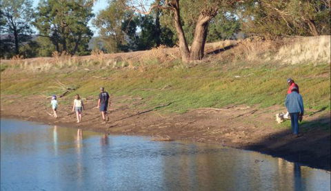 Selby Organic Farm Stay - VIC Tourism 9