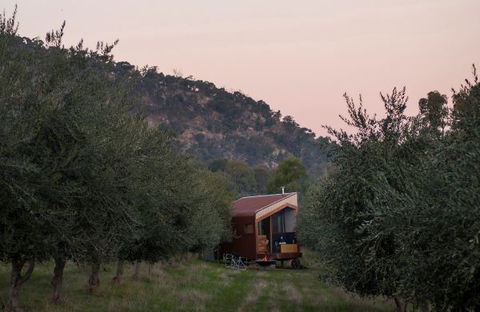 Shacky In The Olive Grove - VIC Tourism 0