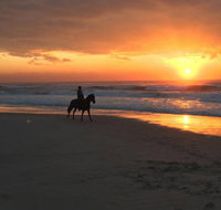 Tassiriki Ranch Beach Horse Riding and Holiday Cabins