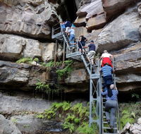 Takarakka Bush Resort Carnarvon Gorge - VIC Tourism