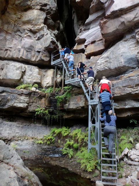 Takarakka Bush Resort Carnarvon Gorge - VIC Tourism 0