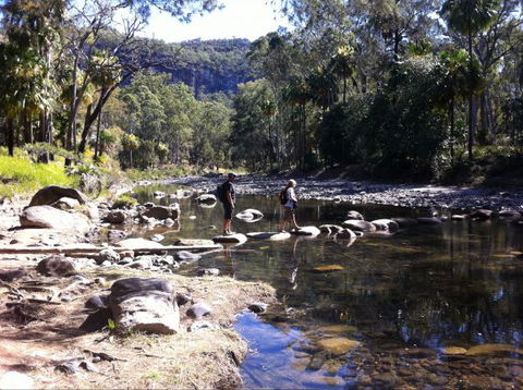 Takarakka Bush Resort Carnarvon Gorge - VIC Tourism 9