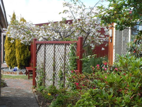 Tidelines Of Bicheno - VIC Tourism 9