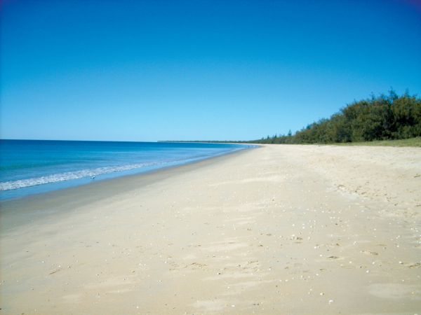  VIC Tourism