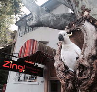 Zing Backpackers Hostel - VIC Tourism