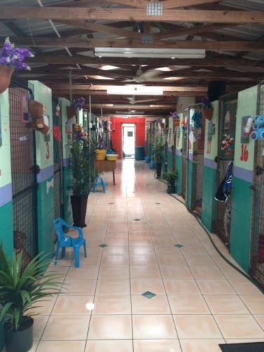 Hillcrest Pet Resort - VIC Tourism 0
