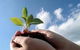 Vital Spirit Natural Health - thumb 0