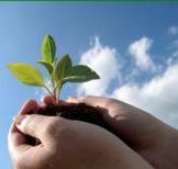Vital Spirit Natural Health