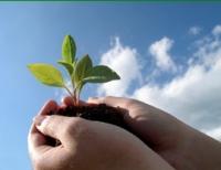 Vital Spirit Natural Health - VIC Tourism 0