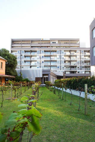B7 Honeysuckle Apartments - VIC Tourism 1