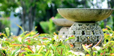 Ballina Palms Boutique Motel - VIC Tourism 2