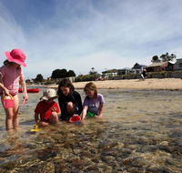 Bellarine Bayside Holiday Parks - Anderson Reserve - VIC Tourism
