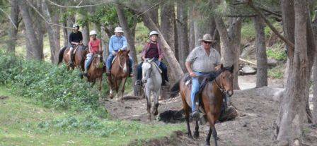 Bestbrook Mountain Resort - VIC Tourism 3