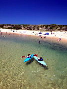 Ingleside NSW VIC Tourism