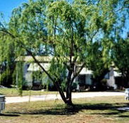 Blue Topaz Caravan Park  Camping Ground - VIC Tourism