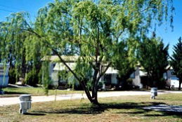 Blue Topaz Caravan Park & Camping Ground - VIC Tourism 0
