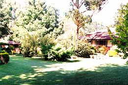  VIC Tourism