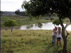 Branell Homestead Bed & Breakfast - VIC Tourism 4