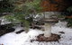 Brantwood Cottage - thumb 2