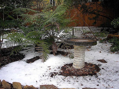 Brantwood Cottage - VIC Tourism 2
