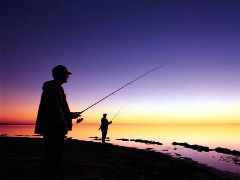 Budgewoi Holiday Park - VIC Tourism 2