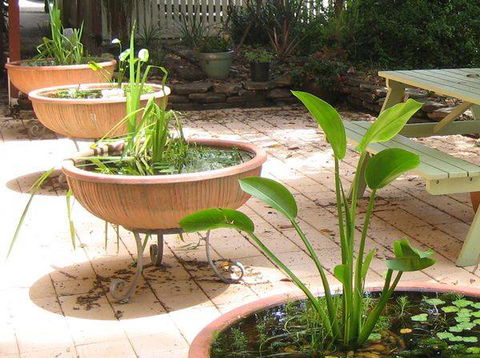 Burwood Bed & Breakfast - VIC Tourism 3