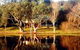 Bushy Lake Chalets - thumb 1