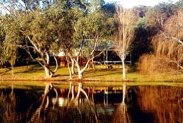 Bushy Lake Chalets - VIC Tourism 1