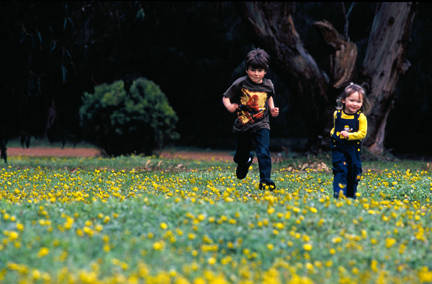 Caves Road Chalets - VIC Tourism 3