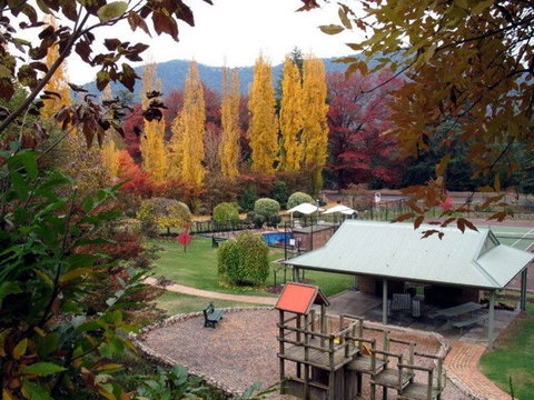 Chestnut Tree Holiday Units - VIC Tourism 1