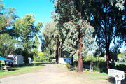 Borree NSW VIC Tourism