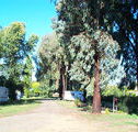 Cudal Caravan Park - VIC Tourism