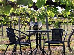 De Vine Escape - VIC Tourism 4