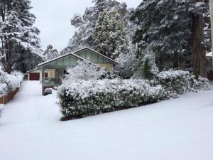 Brantwood Cottage - VIC Tourism 5
