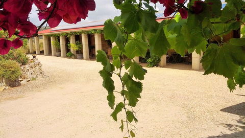 Corinium Roman Villa - VIC Tourism 5