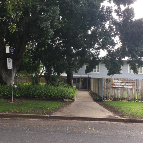 Emerald Veterinary Surgery, Boarding Kennel & Cattery - VIC Tourism 0
