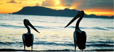 Cairns Beaches Affordable Holiday Accommodation - VIC Tourism 4