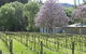 Orchard Lodge - thumb 8