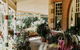Forgandenny House Bed And Breakfast - thumb 5