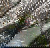 Pippies Fraser Island Tours