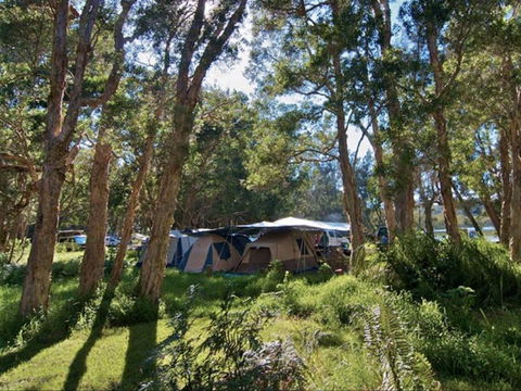 Neranie Campground - VIC Tourism 0