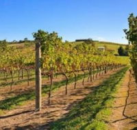 DeVine Escape - VIC Tourism