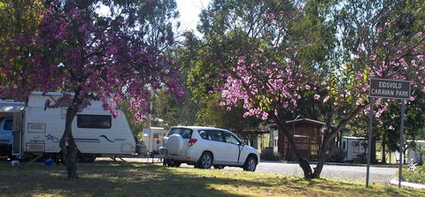 Eidsvold Caravan Park - VIC Tourism 1
