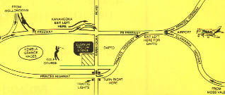 Elsinor Motor Lodge - VIC Tourism 4