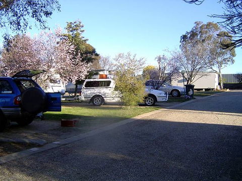 Horseshoe Motor Village Caravan Park - VIC Tourism 1